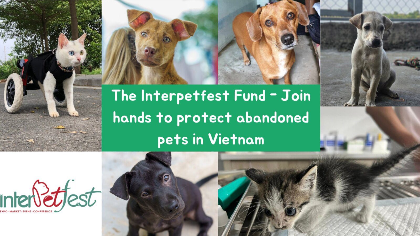 The InterPet Expo Việt Nam Fund