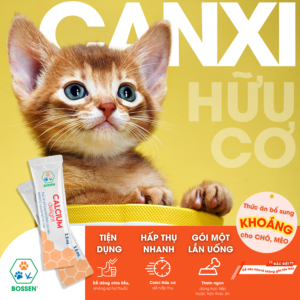 Calcium Delight – Building and maintaining healthy bones