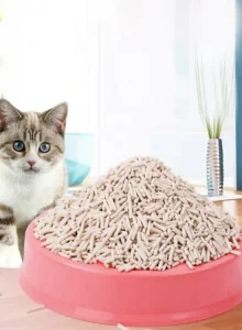 Cat Litter
