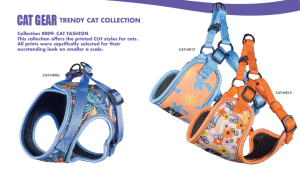 Vòng cổ thú cưng, dây xích, dây nịt, dây xích có thể thu vào