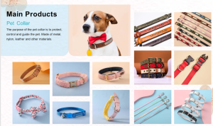 Vòng cổ thú cưng