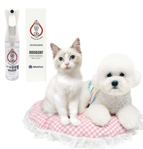 GOGANGTAL, BBOOCHI BBOOCHI, CALMMONG CALMANG