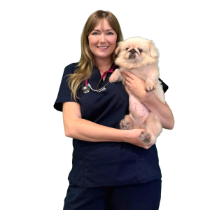 Dr Rachel Helen Bailey