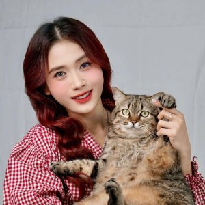 TikToker Bầy Heo Của Mía