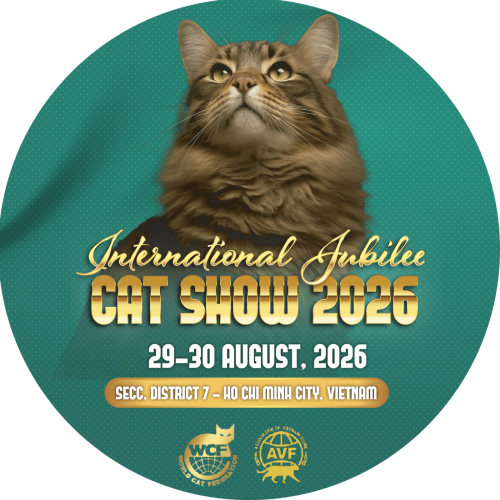 Catshow vuông@4x