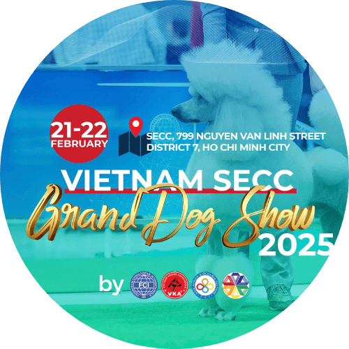 Untitled design (4) Untitled design (4)